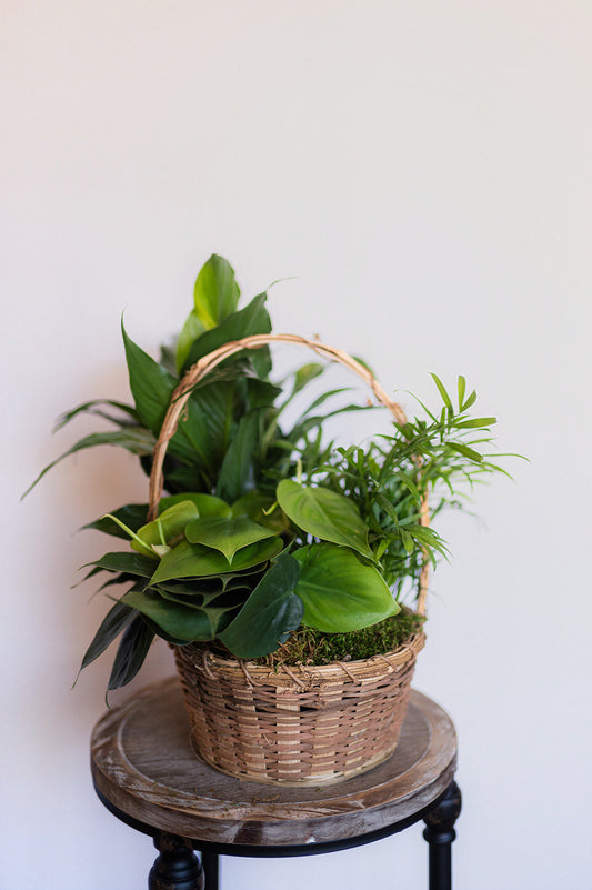 Sweet Serenity Planter